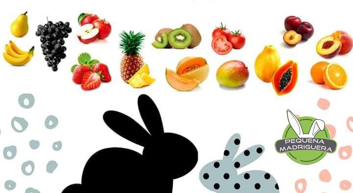 Frutas para conejos y roedores
